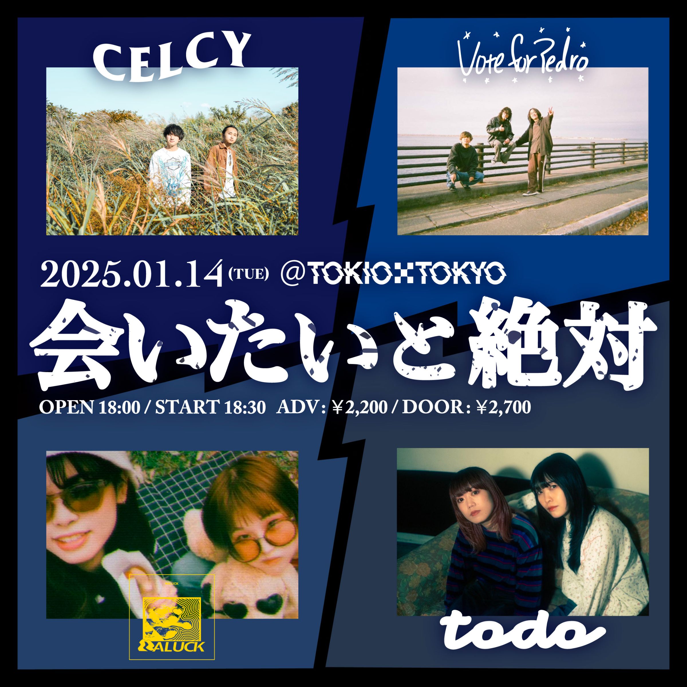todo、CELCY、Vote for Pedroが集った2025年の始まりーー『会いたいと絶対』レポート